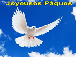 Image Colombe de P�ques