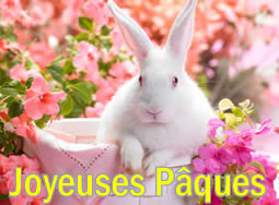 Lapin P�ques