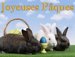Image de P�ques Lapin